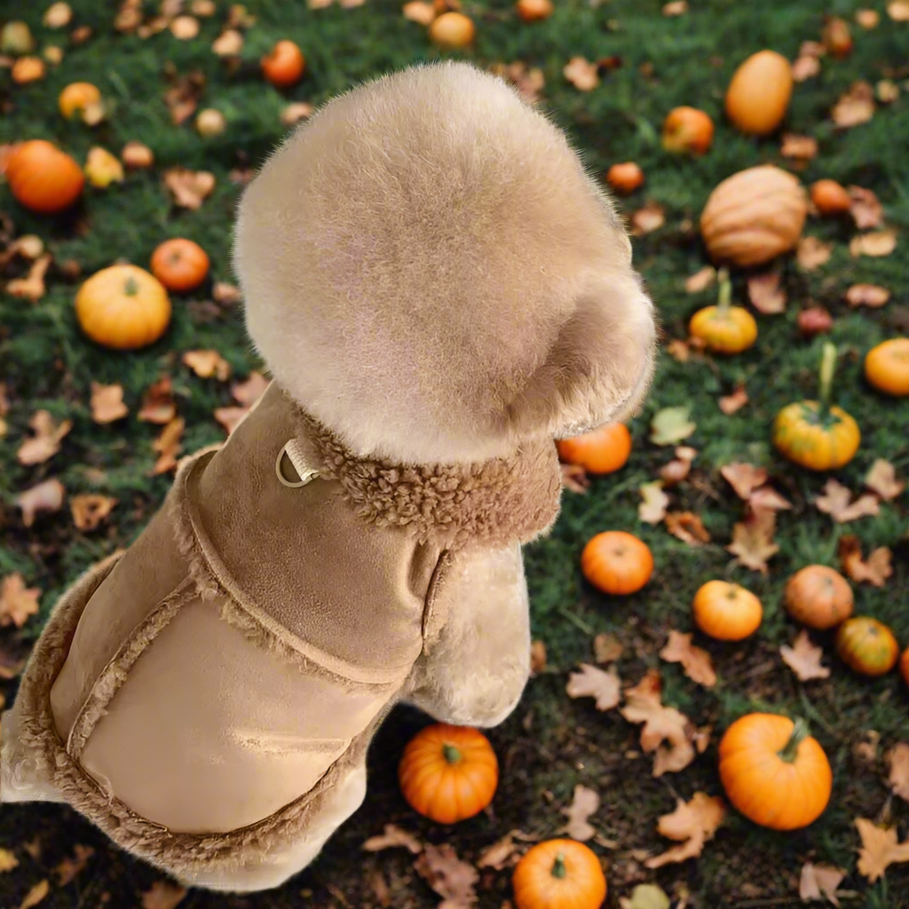 Small Dog Winter Jacket, Warm Fleece/Sherpa Dog Coat with Harness D-Ring, Classic Solid Color Vest XS–XL