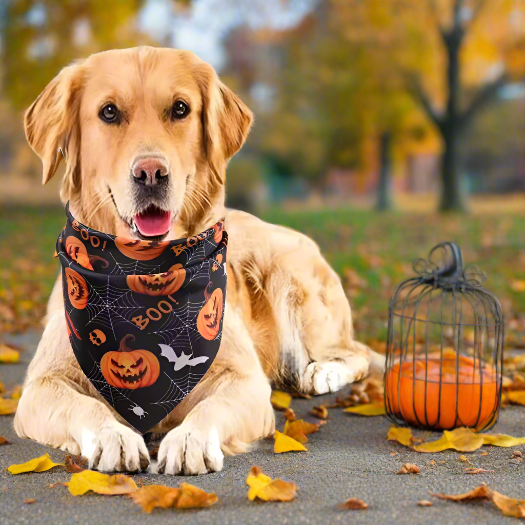 2pcs Halloween Dog Bandanas – Pumpkin & Ghost Triangle Scarves for Dogs & Cats, Pet Halloween Bibs, Funny Party Accessories