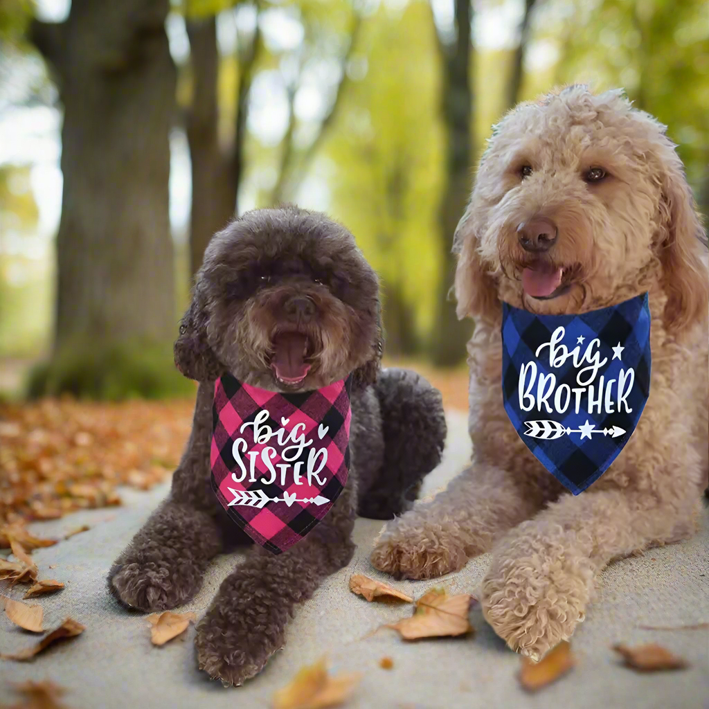 Big Brother & Big Sister Pet Bandanas โ Cute Dog & Cat Triangle Scarves, Red Blue Pink Check Plaid Bibs, Puppy Kitten Photo Props