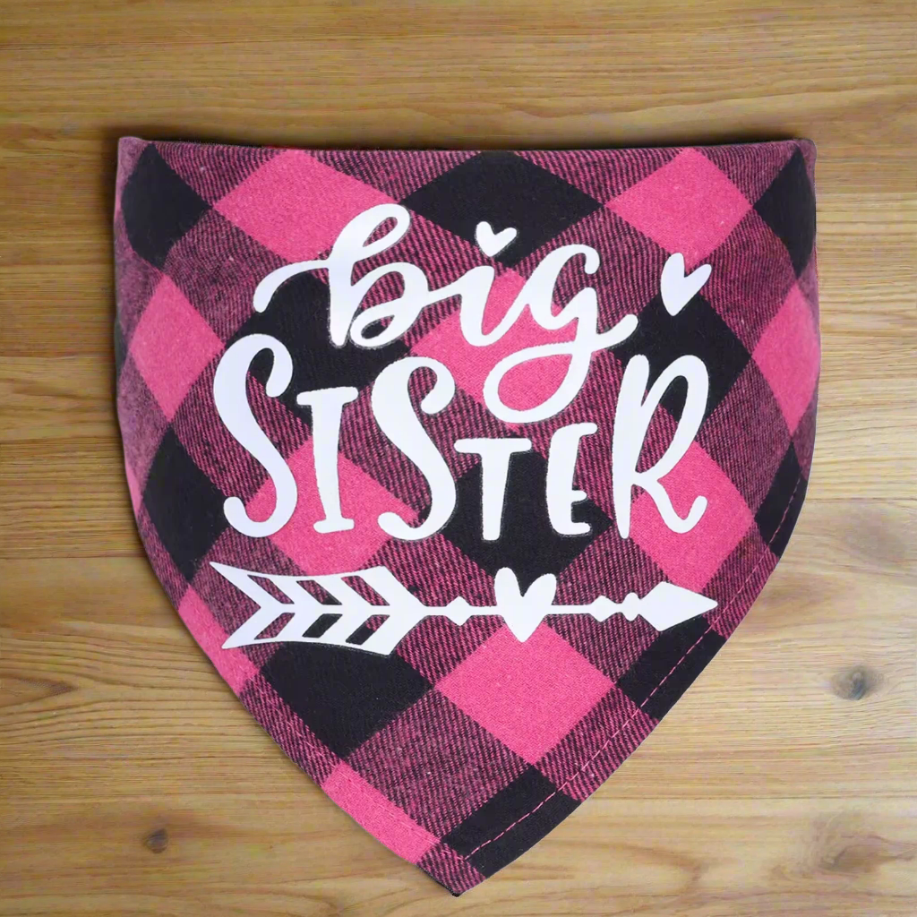 Big Brother & Big Sister Pet Bandanas โ Cute Dog & Cat Triangle Scarves, Red Blue Pink Check Plaid Bibs, Puppy Kitten Photo Props