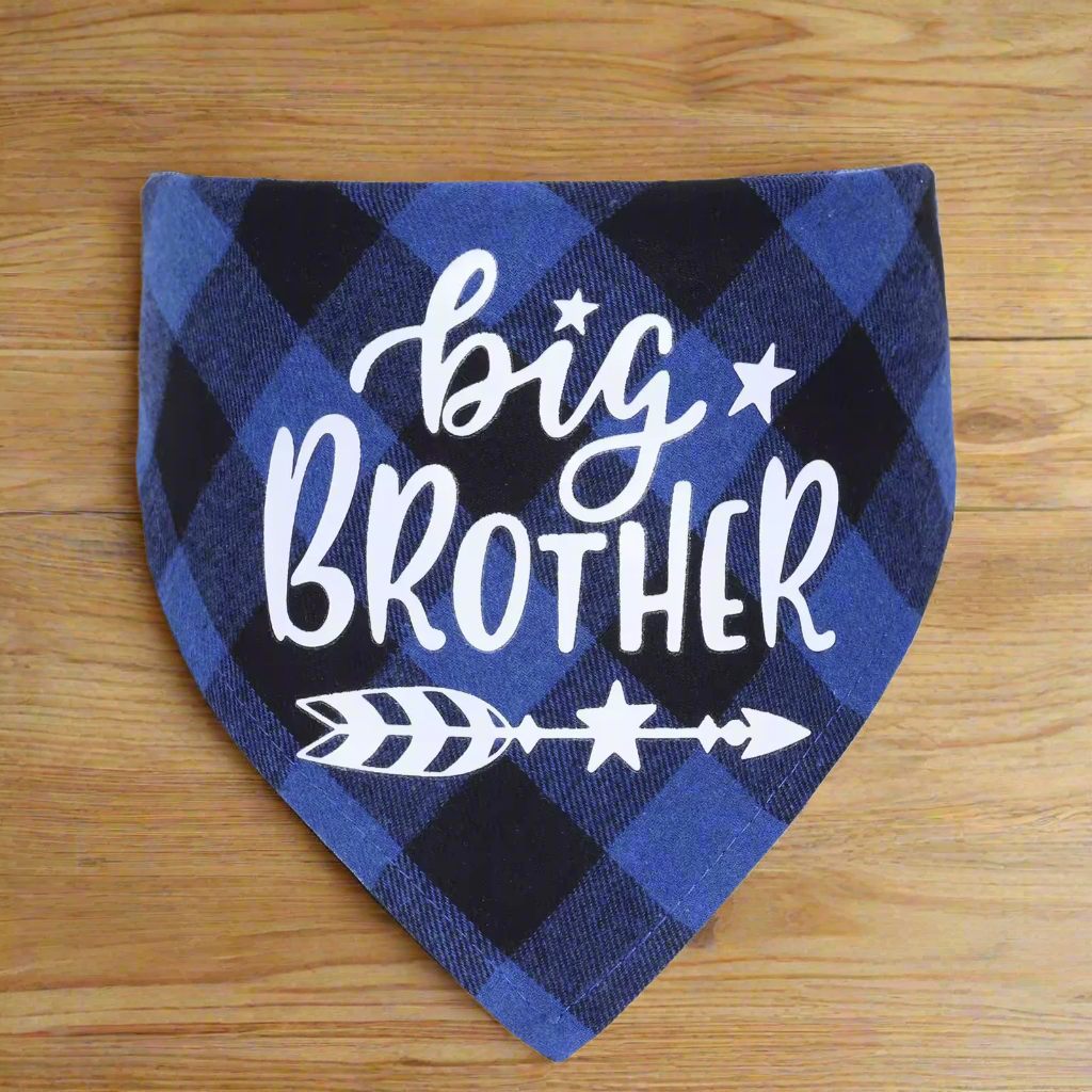 Big Brother & Big Sister Pet Bandanas โ Cute Dog & Cat Triangle Scarves, Red Blue Pink Check Plaid Bibs, Puppy Kitten Photo Props