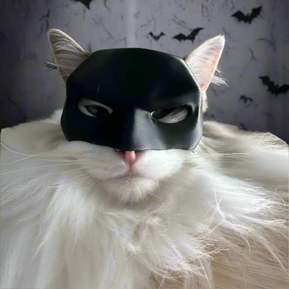 Black Cat Bat Mask – Funny Pet Avenger Cosplay Mask for Cats & Small Dogs, Superhero Halloween Costume Photo Prop
