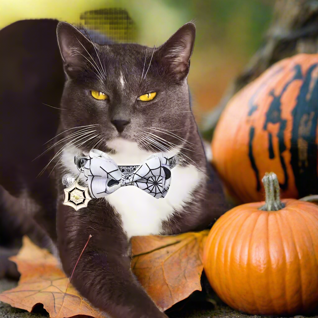 Halloween Cat Collar with Bow Tie & Bell – 1/4 Pcs Adjustable Breakaway Kitten Collar for Cats & Small Dogs, 4 Cute Styles