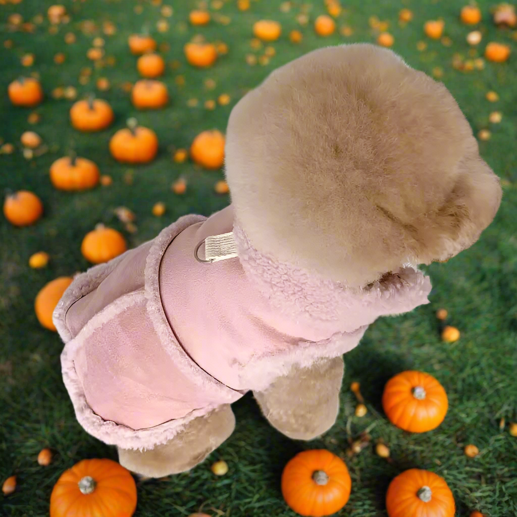 Small Dog Winter Jacket, Warm Fleece/Sherpa Dog Coat with Harness D-Ring, Classic Solid Color Vest XS–XL