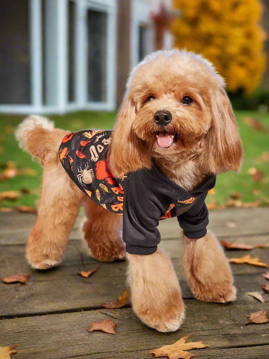 Halloween Pet Hoodie – Ghost & Bat Print Dog & Cat Sweatshirt with Hood, Funny Halloween Costume Outfit (XS–XXL)