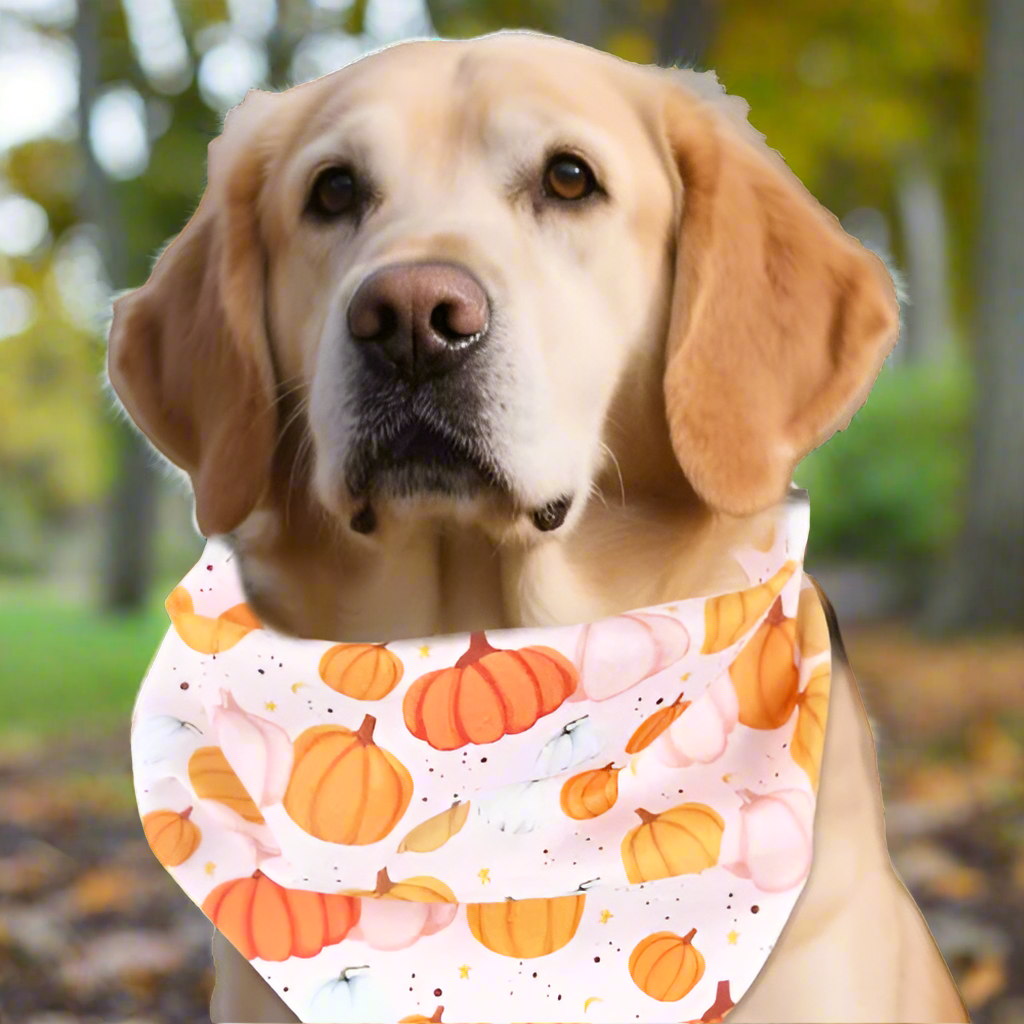2pcs Fall Dog Bandanas – Pumpkin & Autumn Leaves Pet Triangle Scarves, Thanksgiving Cat & Dog Bibs, Holiday Pet Accessories