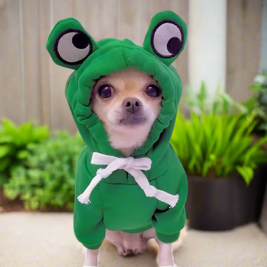 Frog Pet Hoodie – Cute Green Sweater for Dogs & Cats, Warm Puppy/Kitten Sweatshirt Costume, Cozy Pet Jumper (S–XXL)