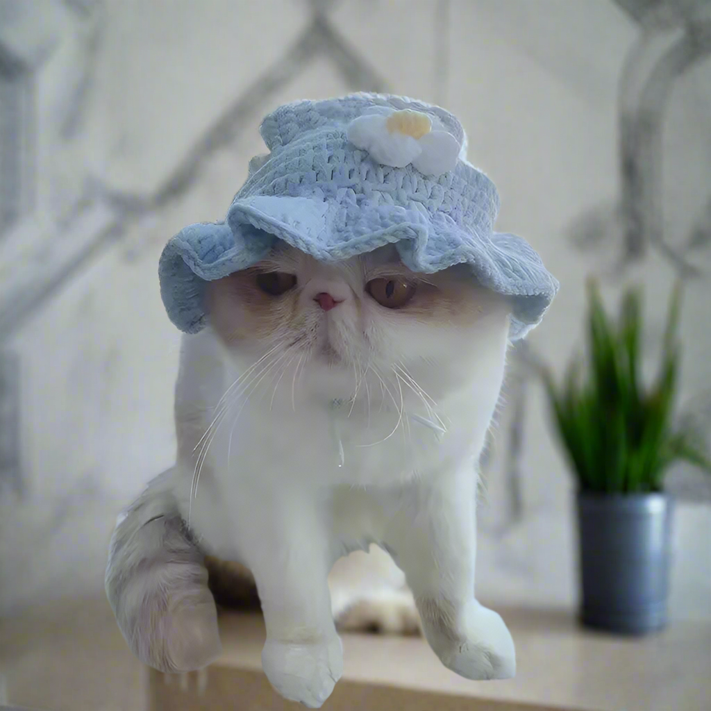 Knitted Cat Hats