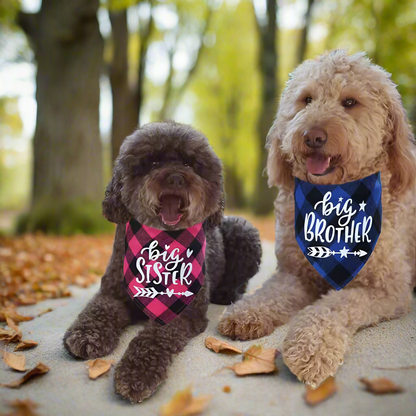 Big Brother & Big Sister Pet Bandanas – Cute Dog & Cat Triangle Scarves, Red Blue Pink Check Plaid Bibs, Puppy Kitten Photo Props