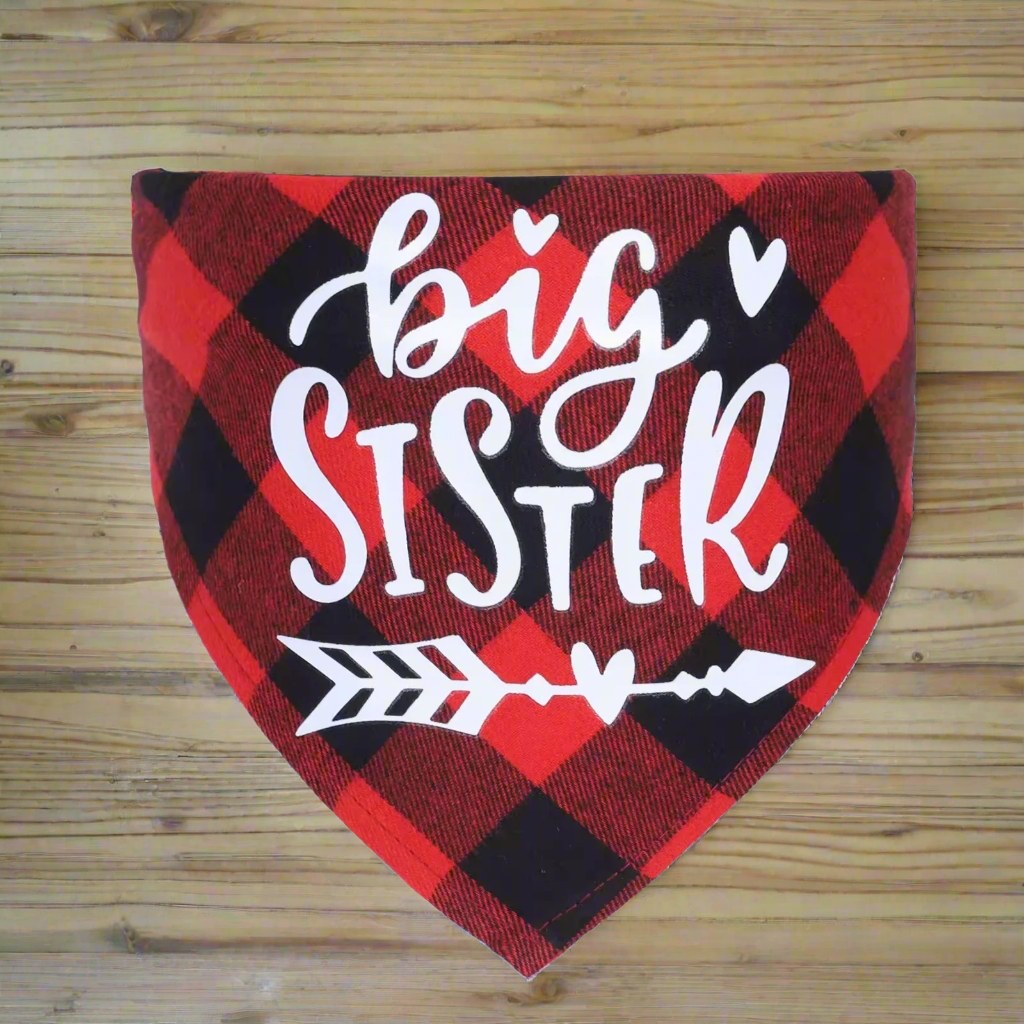 Big Brother & Big Sister Pet Bandanas – Cute Dog & Cat Triangle Scarves, Red Blue Pink Check Plaid Bibs, Puppy Kitten Photo Props