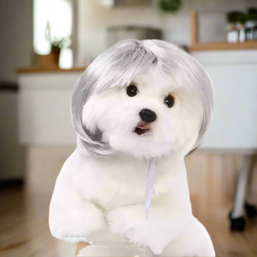 Pet Wig Costume – Funny Dog & Cat Wig with Qi Bangs or Curly Hair, Black, Golden, Silver Pet Wigs for Halloween & Cosplay