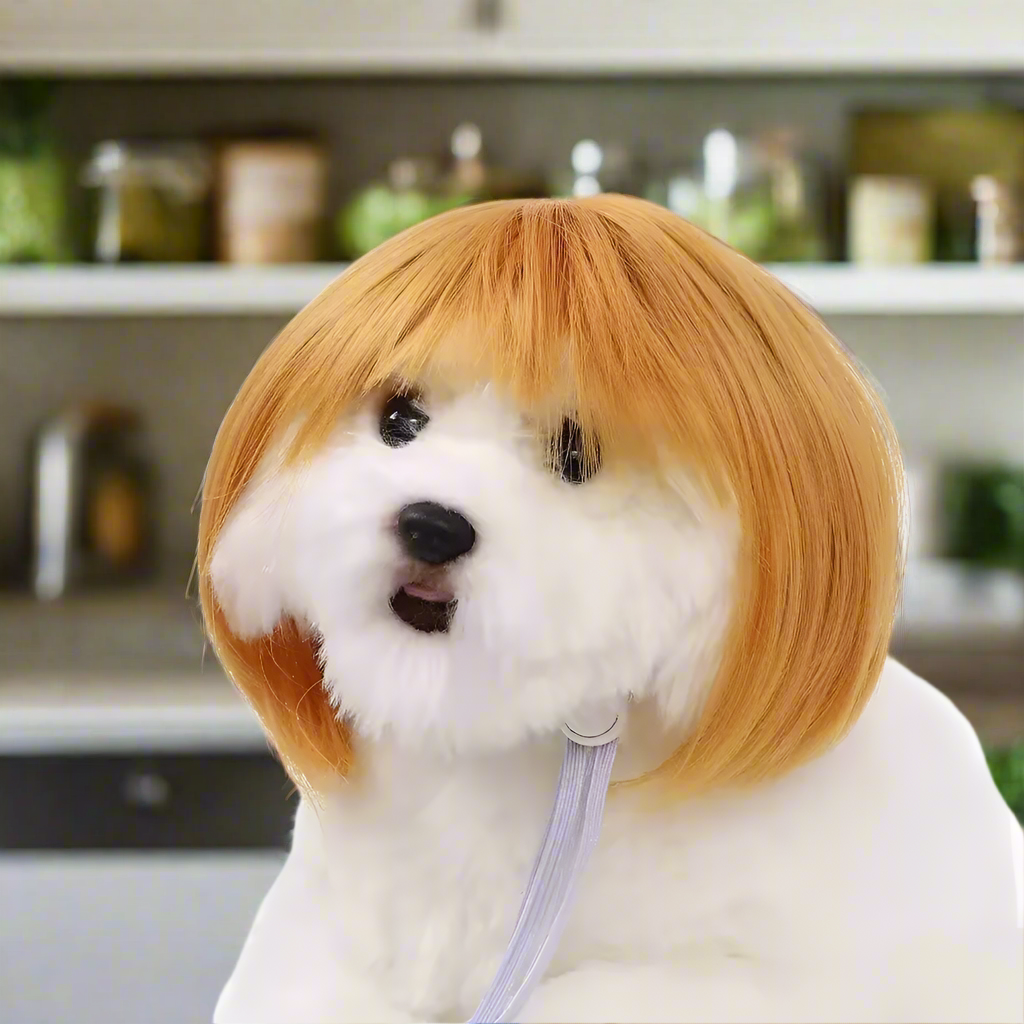 Pet Wig Costume – Funny Dog & Cat Wig with Qi Bangs or Curly Hair, Black, Golden, Silver Pet Wigs for Halloween & Cosplay