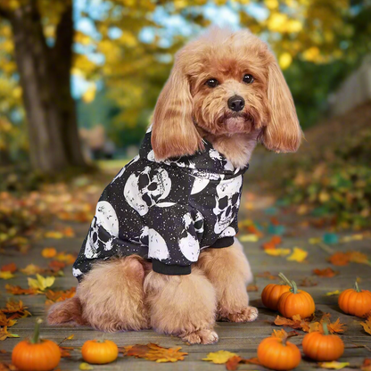 Halloween Skull Dog Hoodie – Spooky Pet Sweatshirt for Dogs & Cats, Funny Puppy Hoodie Costume Outfit (XS–XXL)